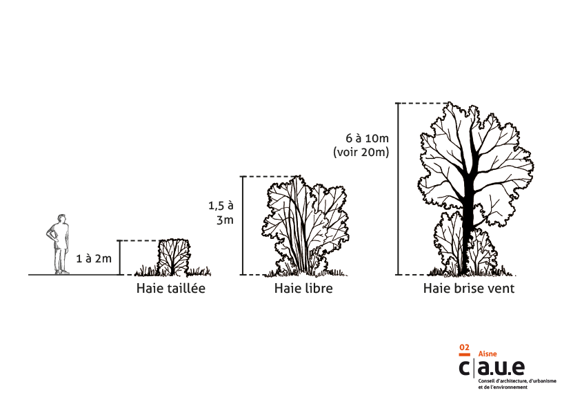 Fiche pedagogiqe de palette vegetale - Image 2